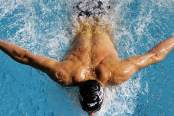 哪种游泳方式被称为海豚泳姿