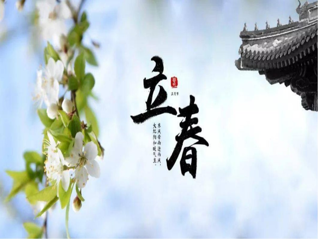 23年哪天立春