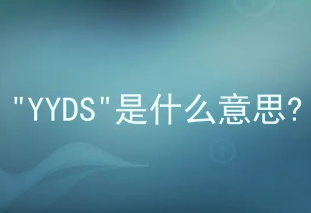 yybs几个意思