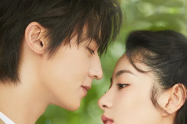 赵晴演的电视剧有哪些