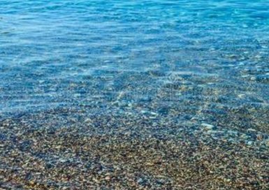 风号浪吼的读音是什么？