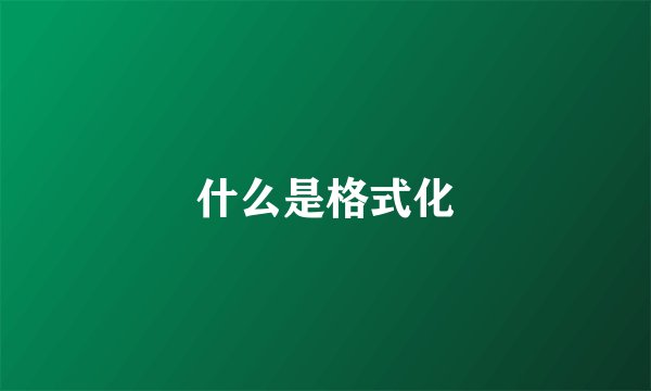 什么是格式化