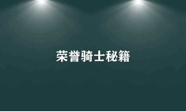 荣誉骑士秘籍