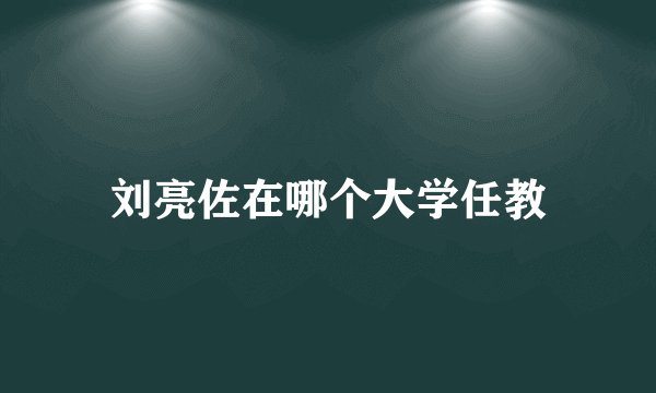 刘亮佐在哪个大学任教