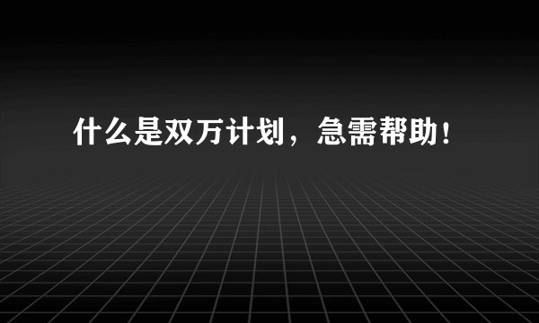 什么是双万计划，急需帮助！