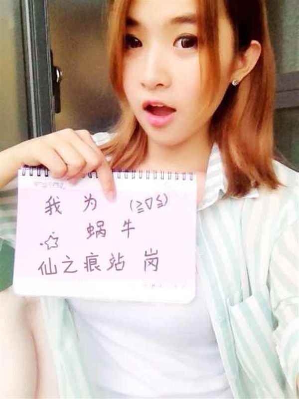 徐绮的人物档案