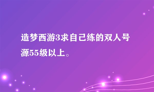 造梦西游3求自己练的双人号源55级以上。