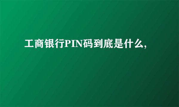 工商银行PIN码到底是什么,