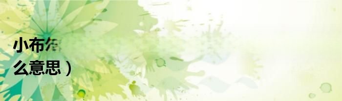 小布尔乔亚是什么意思？