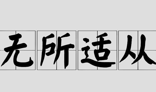 无所适从的意思