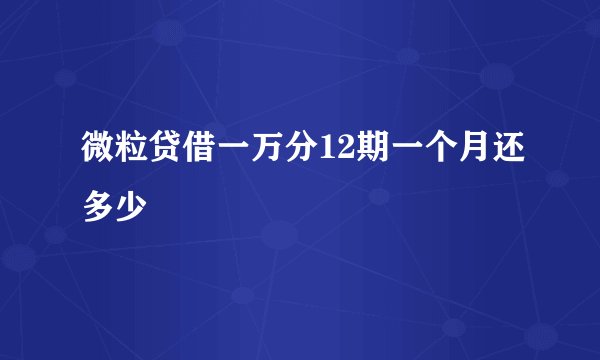 微粒贷借一万分12期一个月还多少