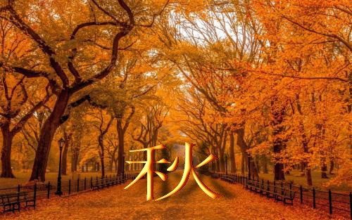 一边绿一边红猜一个字答案是什么字