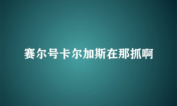 赛尔号卡尔加斯在那抓啊