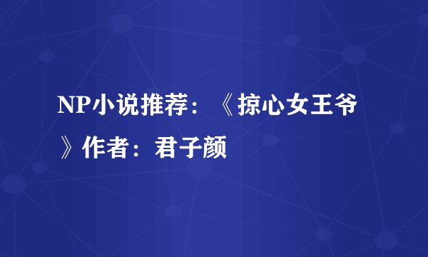 NP小说推荐：《掠心女王爷》作者：君子颜