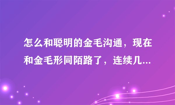 怎么和聪明的金毛沟通，现在和金毛形同陌路了，连续几天因为去臭水沟打滚被我教训，吓得直哆嗦