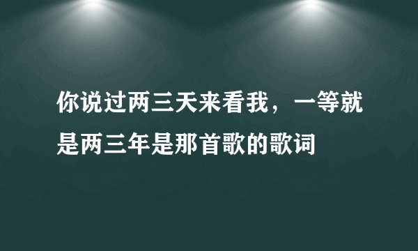 你说过两三天来看我，一等就是两三年是那首歌的歌词