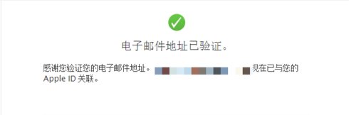 苹果手机id密码是什么格式的？