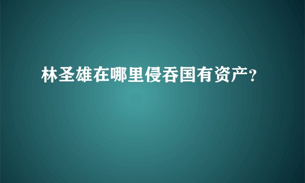 林圣雄在哪里侵吞国有资产？