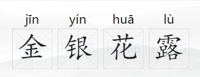 金银花露是什么意思