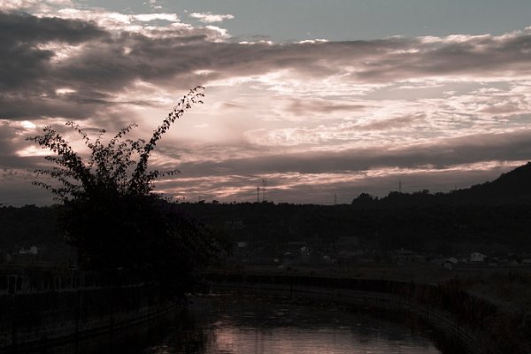 南天是什么意思