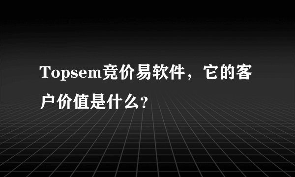 Topsem竞价易软件，它的客户价值是什么？