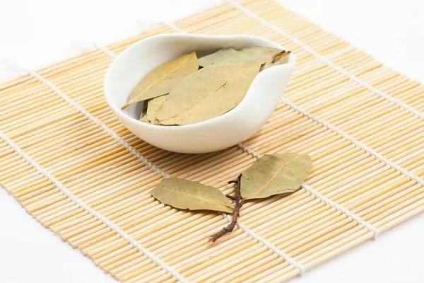 缃叶是什么