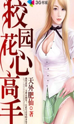 花心高手很纯情的介绍