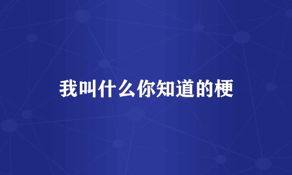 我叫什么你知道的梗