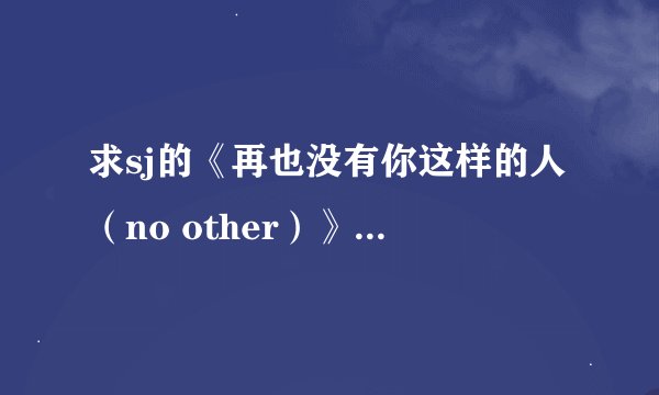 求sj的《再也没有你这样的人（no other）》的歌词~~！！注意是要中文翻译