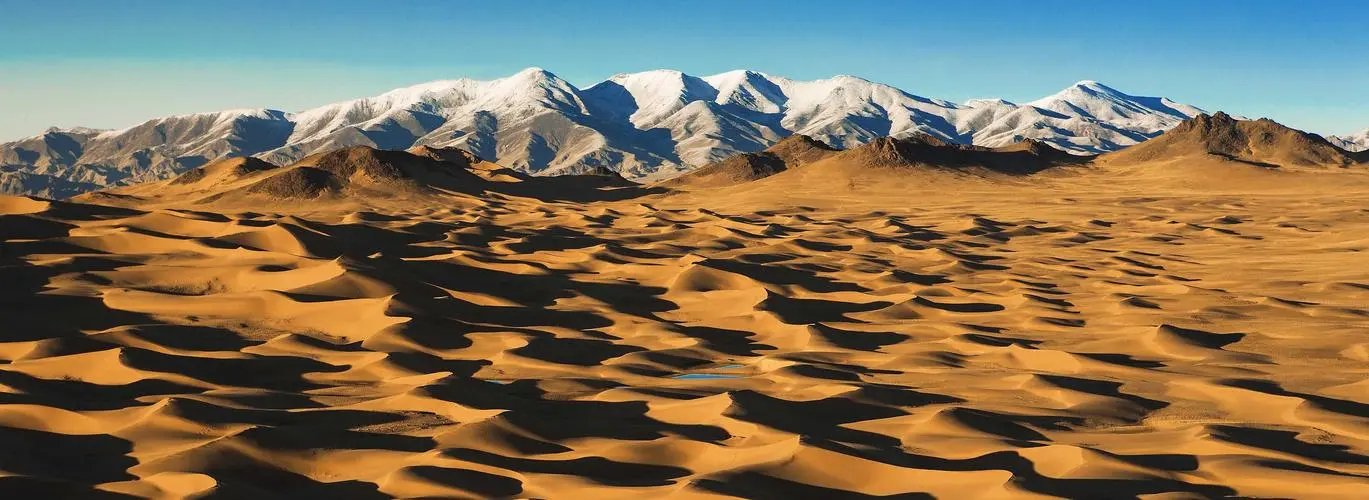 女子在无人区上厕所与狼四目相对，无人区的环境有多恶劣？