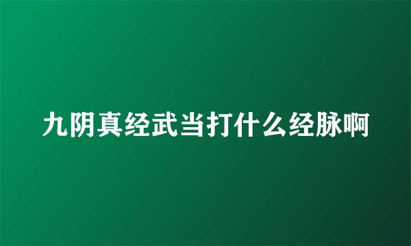九阴真经武当打什么经脉啊
