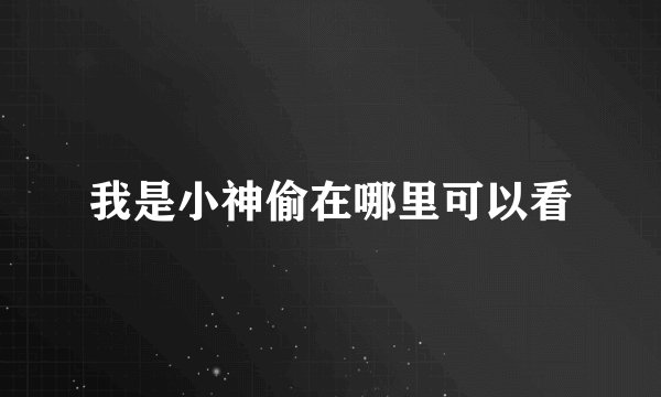 我是小神偷在哪里可以看