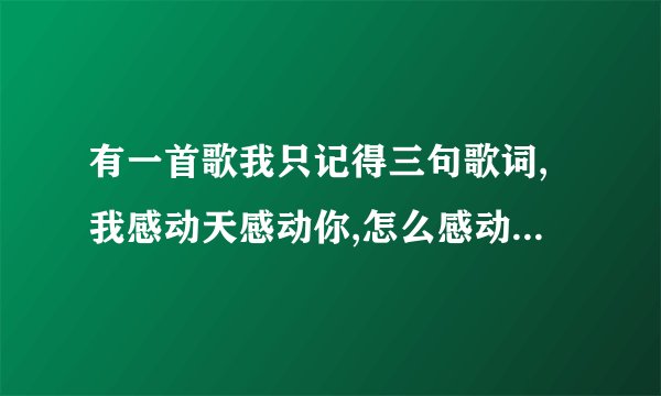 有一首歌我只记得三句歌词,我感动天感动你,怎么感动不了你.