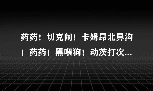 药药！切克闹！卡姆昂北鼻沟！药药！黑喂狗！动茨打次懂次达此动懂次！