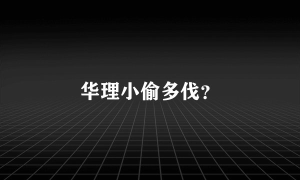 华理小偷多伐？