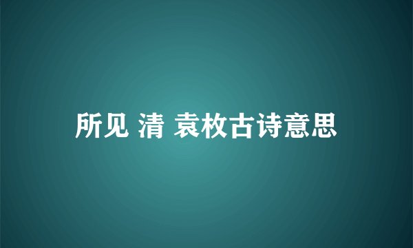所见 清 袁枚古诗意思