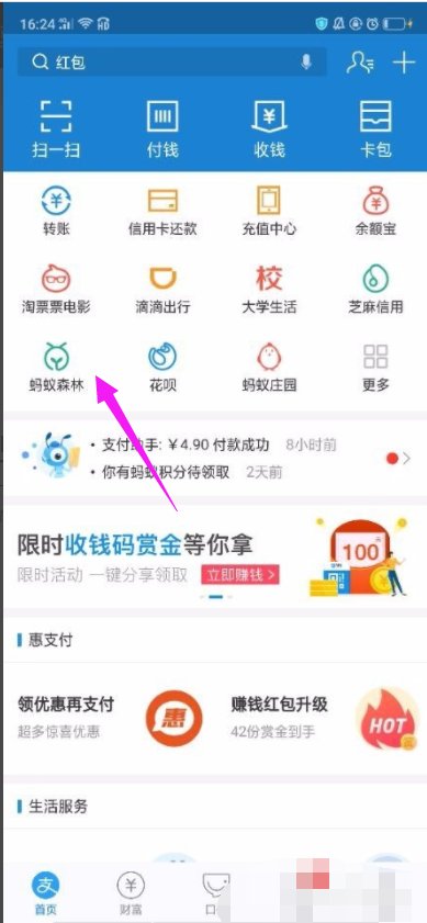 支付宝蚂蚁森林可以种植哪些树