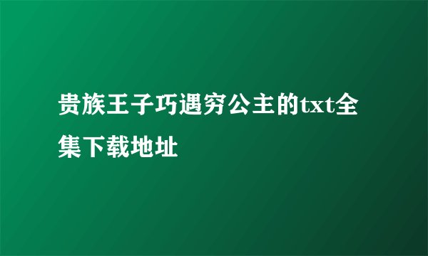 贵族王子巧遇穷公主的txt全集下载地址