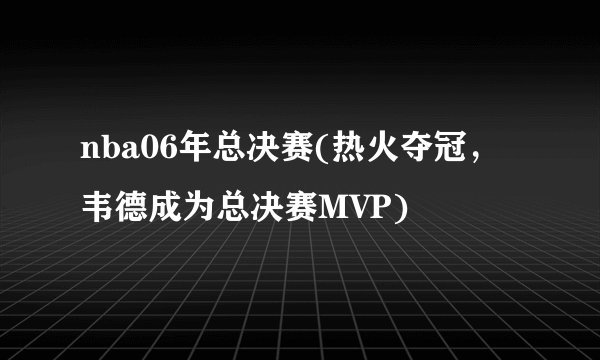 nba06年总决赛(热火夺冠，韦德成为总决赛MVP)