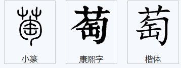 萄的组词有哪些呢