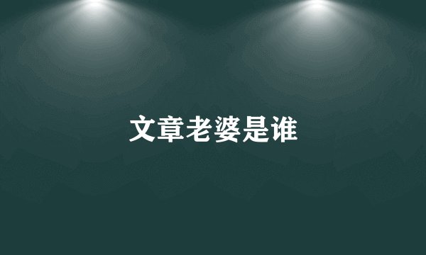 文章老婆是谁