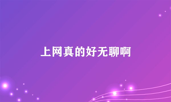 上网真的好无聊啊