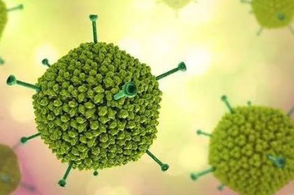 乐山2名儿童检出腺病毒，腺病毒是什么？夏季游泳如何避免腺病毒感染？