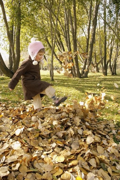 老师说的随便你是什么意思?