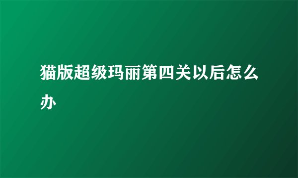 猫版超级玛丽第四关以后怎么办