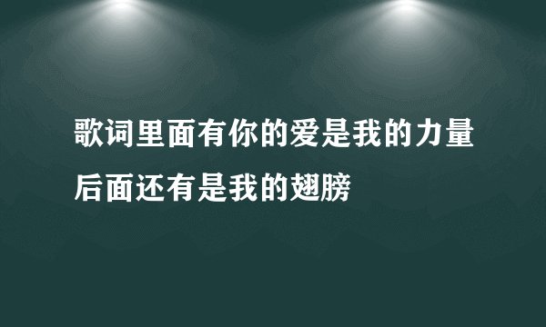 歌词里面有你的爱是我的力量后面还有是我的翅膀