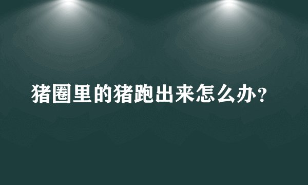 猪圈里的猪跑出来怎么办？