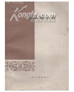 傻瓜威尔逊的简介