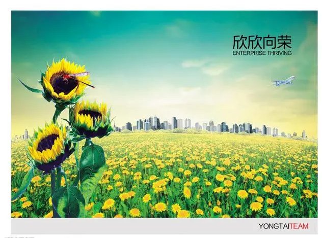 欣欣向荣什么意思解释一下