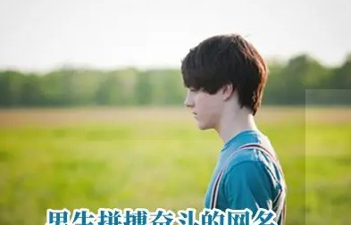 坚强的网名